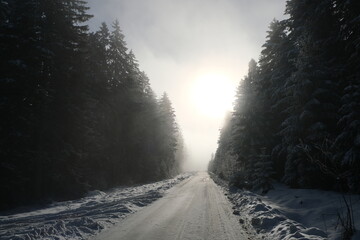 Fototapeta premium snow covered road