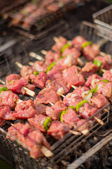 Tender meat pieces and fresh vegetables grilling together, filling the air with delicious aromas