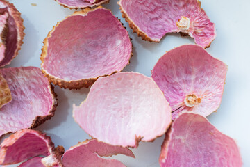 Scattered pink shells show their soft hues and intricate textures against a clean surface