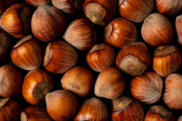 Golden brown hazelnuts rest together on a textured wooden backdrop, glistening in warm light