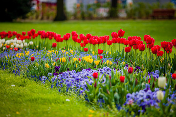 Red tulips and various flowers create a stunning display in a peaceful green park during spring