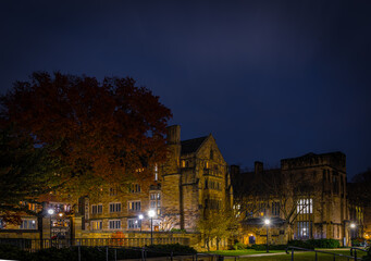 Historic Ivy League Campus Street at Night with Autumn Trees