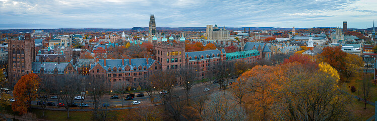 Aerial View of Yale Old Campus along Tree-Lined Street
