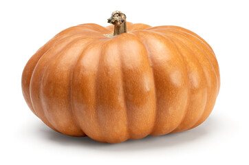 pumpkin isolated on white background. clipping path