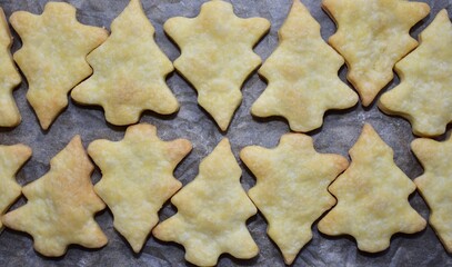 Freshly baked Christmas tree cookies cooling on parchment paper. Golden, simple, crispy festive treats perfect for holiday celebrations, homemade desserts, and seasonal decoration.