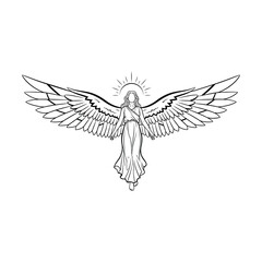 Fototapeta premium Illustration of angel with outstretched wings and halo, line art drawing