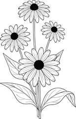 Daisy bouquet line drawing, botanical sketch, black and white floral illustration, vector art, minimal design, nature study, contour