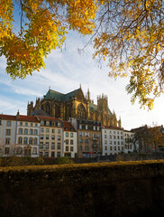 Naklejka premium autumn in the city