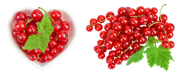 Red currant berries in a ceramic bowl with leaf isolated on white background. Top view. Flat lay