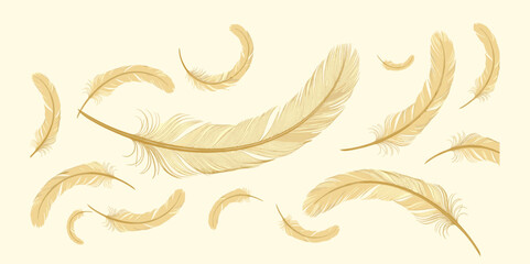 Light brown feather pattern, soft airy texture, delicate nature motif, pale yellow background design, flat vector illustration © Creative _design