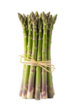 A vibrant bundle of green asparagus spears with subtly purple-tinged tips, tied with natural raffia string, against a clean transparent background. Concept of fresh produce and healthy eating