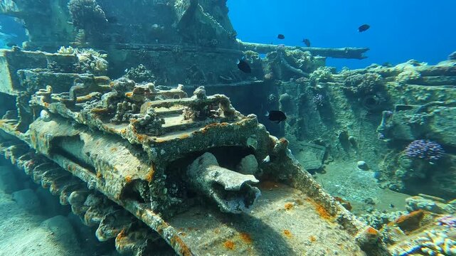 Diving next to a sunken anti aircraft tank in the Red Sea, Jordan