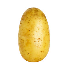 Fresh ripe potato isolated on transparent background. PNG format
