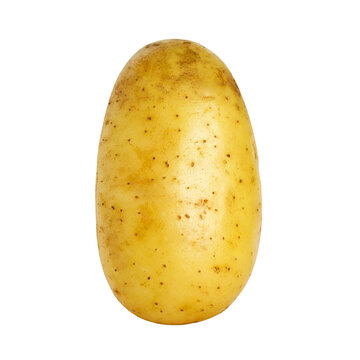Fresh ripe potato isolated on transparent background. PNG format