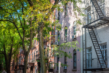 Green trees in world famous Greenwich Village