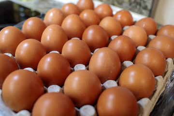Close-up of fresh brown chicken eggs filling a large cardboard tray, showcasing the natural, slightly speckled texture of the eggshells