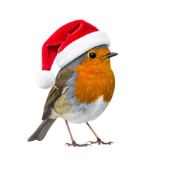 Cute Robin Wearing Santa Hat &ndash; Isolated PNG on Transparent Background
