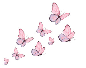 WATERCOLOR hand drawn design vector 