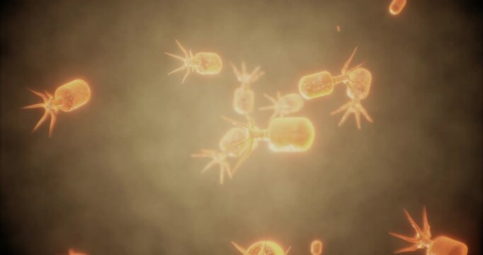 Delve into the fascinating realm of microscopic life where colorful organisms thrive and engage in dynamic interactions. This vibrant display highlights their unique structures and activities.