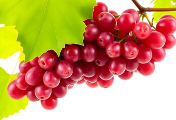 Fototapeta premium A view of some Grapes isolated on a white background