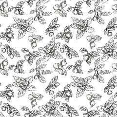 Vintage Hand Drawn Ink Botanical Seamless Pattern with Wild Berries and Leaves. Black and White Repeat Tile for Fabric and Wallpaper.