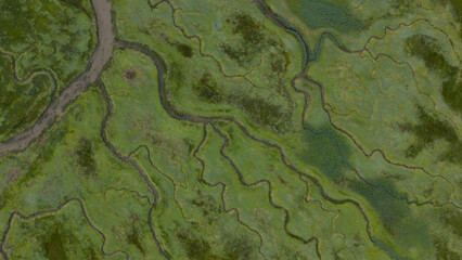 Drowned Land of Saeftinghe Aerial Top Down Landscape.