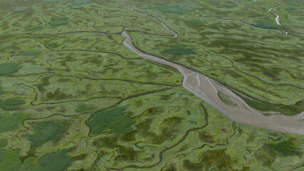 Drowned Land of Saeftinghe Aerial Top Down Landscape.