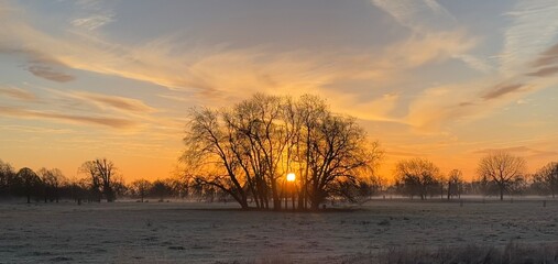 Panoramic view of the sunrise glowing behind bare winter trees over a frosty field with soft morning mist.