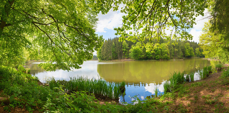 biggest of the three lakes Thanning, green spring landscape upper bavaria