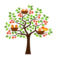 flowering tree with birds and eggs in nests isolated on white background