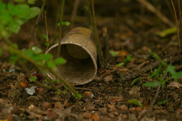 Aged container abandoned, Weathered paper mug peacefully resting on forest floor beneath trees,...