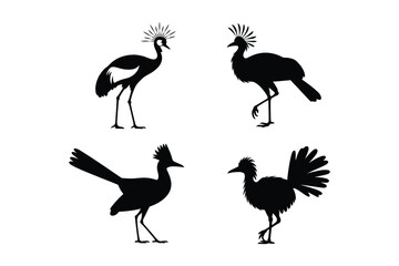 Fototapeta premium Exotic crested birds silhouette collection graphic design element