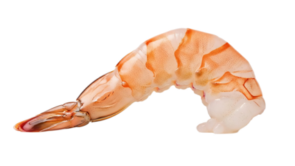 Cooked peeled shrimp with tail isolated on transparent background