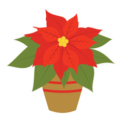 Christmas star flower, star of Bethlehem, red poinsettia in a pot, houseplant, symbol of Christmas and winter holidays.
Colored vector illustration on a white background.