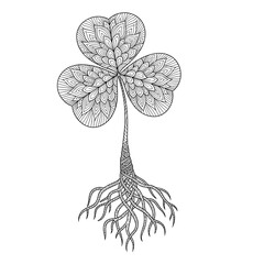 Detailed shamrock with long roots botanical illustration for coloring pages