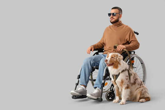 Blind young man in wheelchair with guide dog on grey background