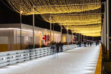 New Year. Kolomenskoye Park. New Year's spirit.