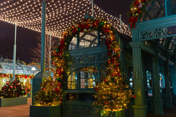 Fototapeta premium New Year. Kolomenskoye Park. New Year's spirit.