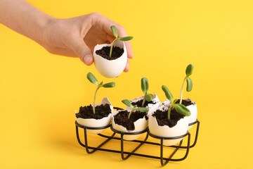 Female hand with egg shells with seedlings on yellow background