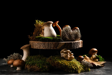 Wooden round tray, moss and fresh mushrooms on black grunge background, closeup