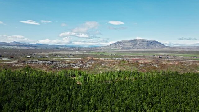 Drone view over forest and volcanic hills near Thingvellir Iceland. Scenic 4K aerial footage of greenery contrasting volcanic mountain slopes.
