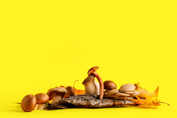 Different fresh mushrooms with tree bark and autumn leaves on yellow background