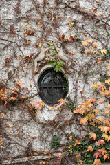 Round Window Surrounded by Cherub Sculpture and Colorful Autumn Ivy on a Wall, Paris, France