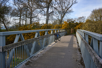 Obraz premium A cyclist crosses a blue iron bridge over Loch Leven in Scotland, framed by blooming gorse.