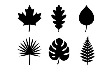 Obraz premium Black leaf silhouettes of various plants on a white background