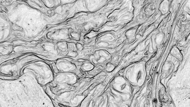 This stock video features an extreme close-up shot of a liquid mixture of clack an paints. It can be a great background for your computer screens. And if you need a compositing element for your motion