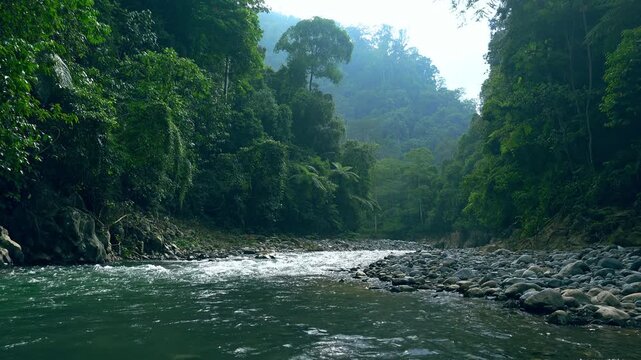 Foaming river with stony banks running at foot of mountains covered with impenetrable jungle. Breathtaking landscape of rainforest growing on high altitude. Camera stay still. North Sumatra, Indonesia