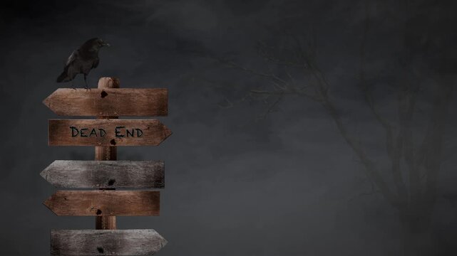 Raven perched on a dead end sign at night