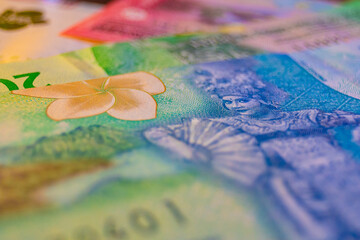 Close-up of Indonesian Rupiah banknotes (2022 series). Features the 1,000 and 20,000 denominations, showcasing a Balinese dancer, Frangipani flowers, an orchid, and the Indonesian archipelago map.