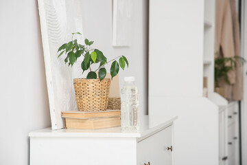 Houseplant, books and bottle of water on table in room